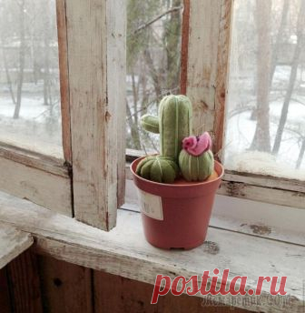 Симпатичная игольница-кактус своими руками Сложность: низкая
Время работы: 2 часа Материалы: фетр листовой, картон, синтепон, горшокСо слов автора. В этом мастер-классе вы сможете увидеть, как легко и просто воплотить в жизнь мечту иметь какту...