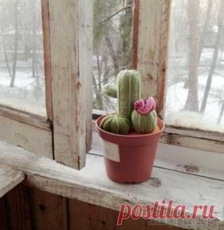 Симпатичная игольница-кактус своими руками Сложность: низкая
Время работы: 2 часа Материалы: фетр листовой, картон, синтепон, горшокСо слов автора. В этом мастер-классе вы сможете увидеть, как легко и просто воплотить в жизнь мечту иметь какту...