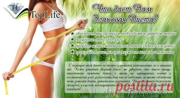 TopLife Россия очень правильная диета! Не упустите возможность!