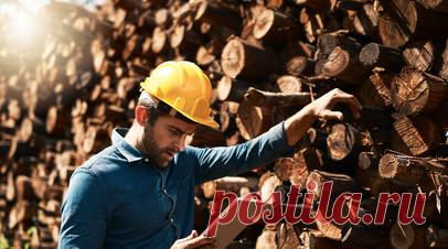 В Рослесхозе рассказали о ситуации с кадрами в лесной отрасли. Руководитель Федерального агентства лесного хозяйства (Рослесхоза) Иван Советников рассказал RT о ситуации с кадрами в лесной отрасли. Читать далее