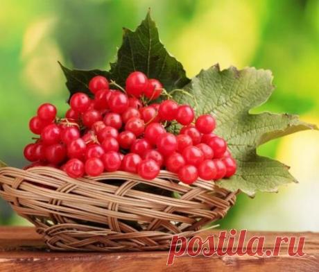 Калина на спирту и самогоне. Чарку «Калиновки» доброй налей!