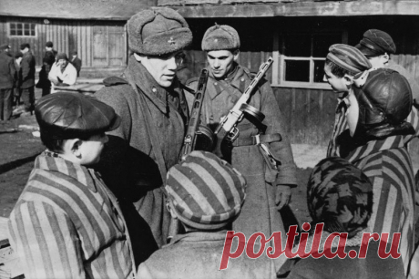 Мифы и домыслы о Великой Отечественной войне.