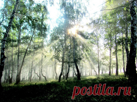 ФОТОМАСТЕРСКАЯ ПРИРОДЫ
Владимир Фефелов