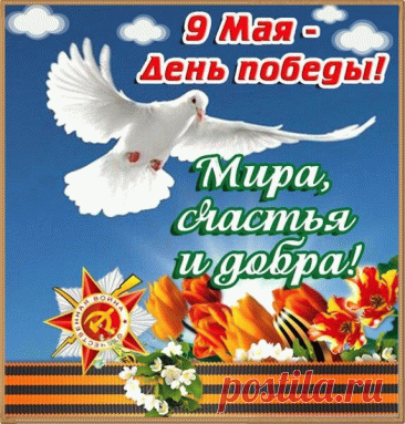 С Днем Победы поздравляю!
В мире жить я вам желаю,
Я желаю, чтоб войны
Никогда не знали мы.