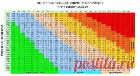 Ребенок 1- 11 лет ожирение - степени ожирения у детей, что делать