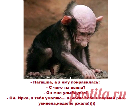 (68) Одноклассники