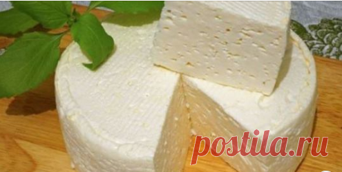 Домашний французский сыр: вкусно, просто и дешево Готовлю сама по рецепту, привезенному из Франции. Делюсь с вами!