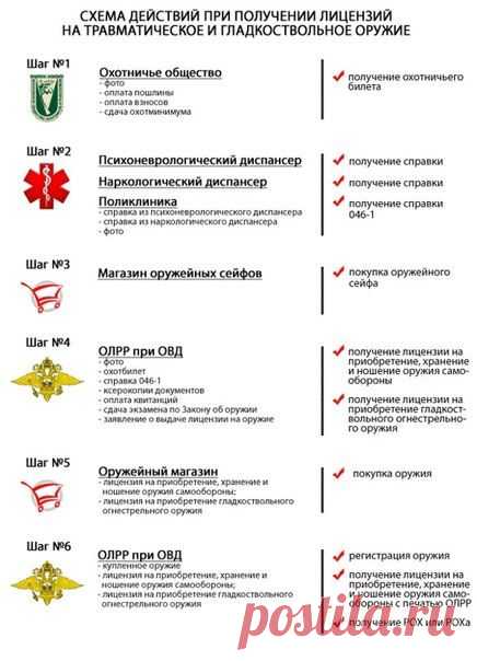 Схема действий при получении лицензий на травматическое и гладкоствольное оружие