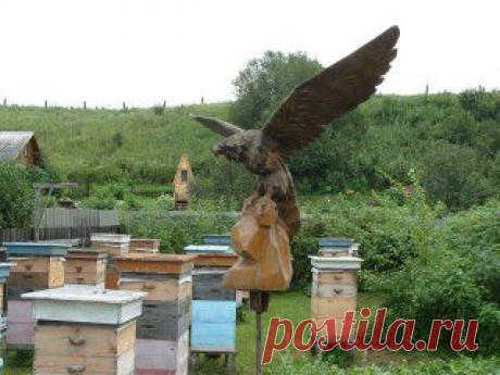 Одноклассники