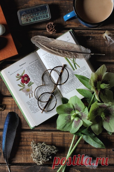 Если бы я создавала мир, он бы состоял из утра, зеленой лужайки, горячего вкусного чая, яблочного пирога и домика в лесу...

Доброе утро!