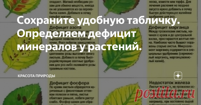 Сохраните удобную табличку. Определяем дефицит минералов у растений. Готовим сани летом, или по - тихоньку я уже сохраняю необходимую и полезную информацию для удачного озеленения огорода.
Летом каких только растений не встретишь. А цвет листьев уж и подавно. И гадаешь, что за крапинки на розе или почему пятна коричневого цвета.
Вот, к примеру, фиолетовые или красноватые листья у помидоров. Некоторые огородники или продавцы рассады скажут: закаленная!!! А нет. Это