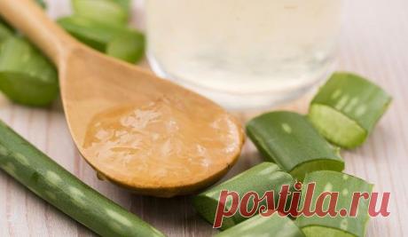 Благодаря этому рецепту из алоэ, у вас уже через 3 дня будет обновленная кожа! - Советы для тебя