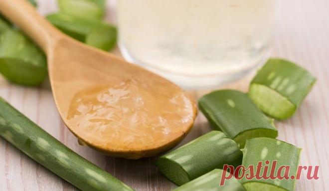 Благодаря этому рецепту из алоэ, у вас уже через 3 дня будет обновленная кожа! - Советы для тебя