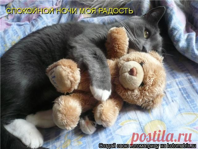 живые открытки спокойной ночи - Поиск в Google