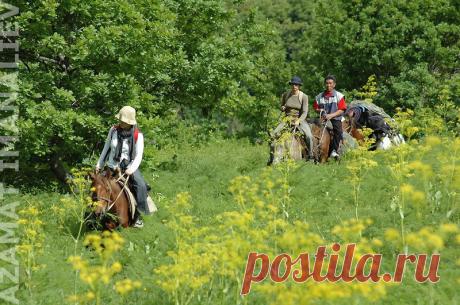 сары челек фото: 643 изображения найдено в Яндекс.Картинках
