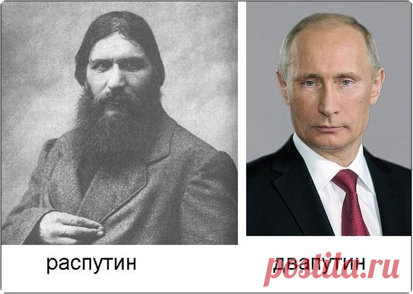 Пьяный Кот | Юмор