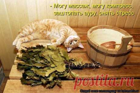 могу многое....