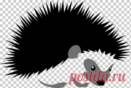 hedgehog-stock-illustration-silhouette-illustration-cartoon-hedgehog.jpg (728×488)