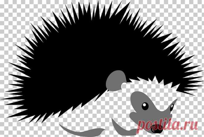 hedgehog-stock-illustration-silhouette-illustration-cartoon-hedgehog.jpg (728×488)