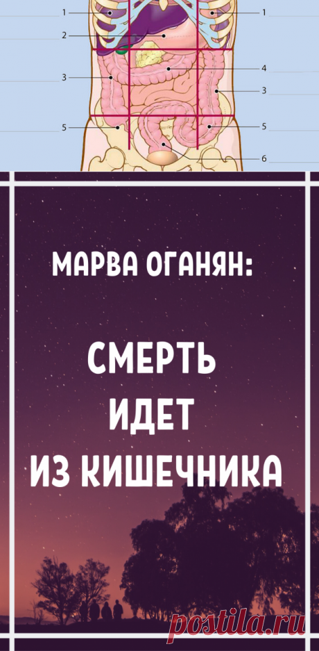 Марва Оганян: Смерть идет из кишечника