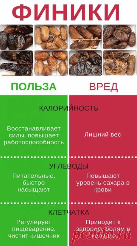 Финики - польза и вред