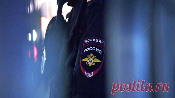 Полиция проверит информацию о гибели бродячих собак в Астрахани