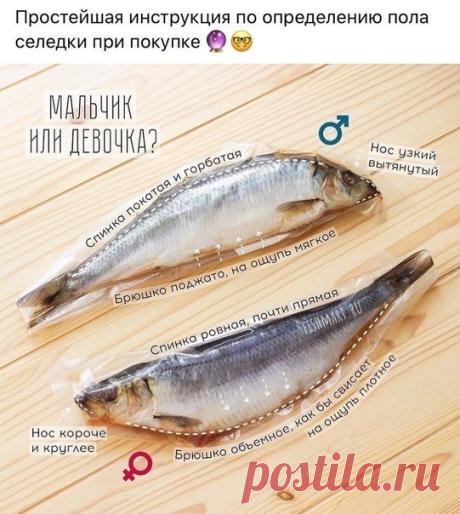 ________________________________________________
НА КУХНЕ - РЕЦЕПТЫ
Подписывайся на наш паблик