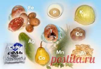 Эксперт назвал главные вещества от всех болезней и риска смерти Когда организму недостает питательных веществ, он фокусируется на выживании, а не процветании. Все эти веществ находятся в продуктах. Исходя из этого, британский доктор Брюс Эймс назвал основные витамины и минералы, которые спасают наше здоровье и могут добавить несколько лет жизни каждому из нас.