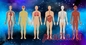 Полный список работающих лекарств, которые должны быть в доме Сосудистые препараты — если в доме есть пожилые люди.