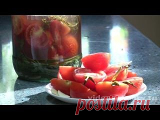 Валентина Шанева-Рыбак