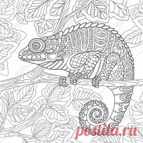 Chameleon Lizard. 2 Coloring Pages. Animal coloring book pages | Etsy