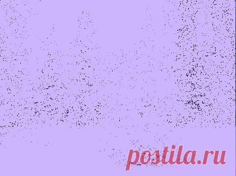 "В лесу родилась ёлочка…" — интересные факты истории песни.