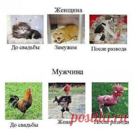 Одноклассники