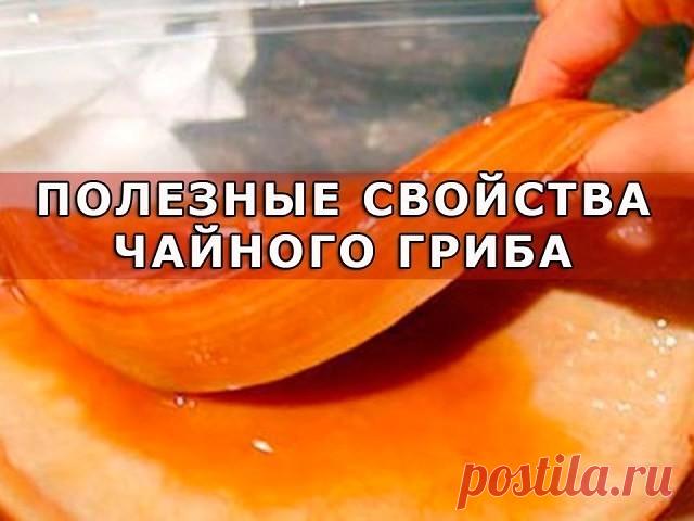 (40) Одноклассники