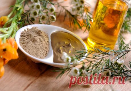 Способ применения хны для волос: видео-инструкция по окрашиванию своими руками, сколько держится, наносить на влажные или сухие пряди, чем вывести, можно ли использовать на крашеных локонах, фото и цена