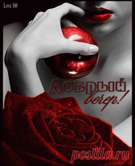 Живые фотографии - Community - Google+