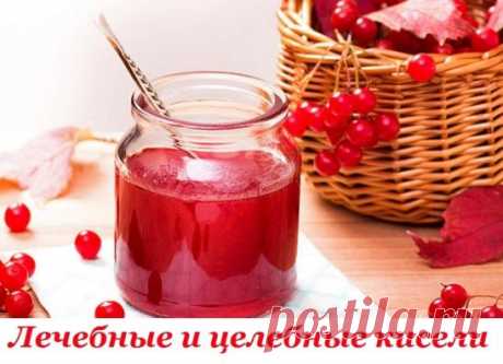 Кисель - отличное очищающее средство. А если же в него добавлять натуральные ягоды и фрукты, то он будет содержать необходимые человеку витамины. Кисели обладают сильным обволакивающим действием, поэтому их полезно пить при хронических воспалительных проц