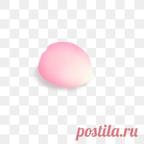 лепесток PNG образ | Векторы и PSD-файлы | Бесплатная загрузка на Pngtree