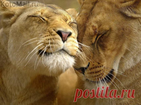 Романтика