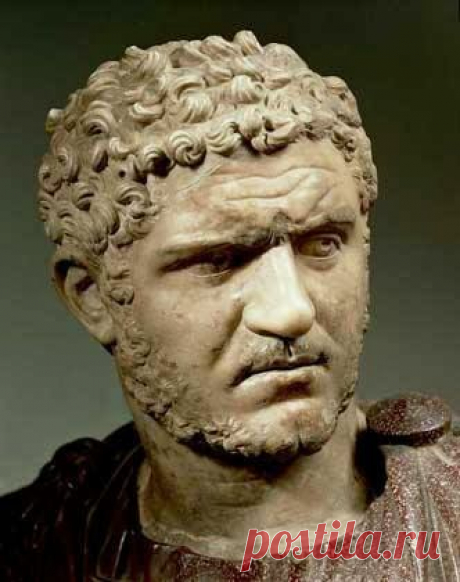 seneka.jpg (332×420)