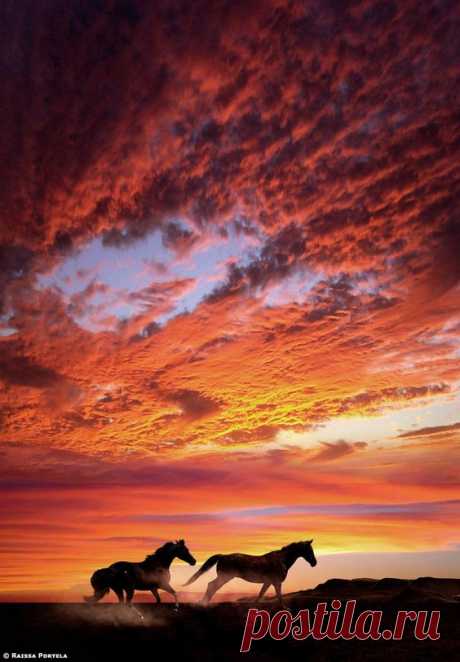 Run into the sunset,  
fivehundredpx от Raissa Scholz Portela   |   Pinterest • Всемирный каталог идей