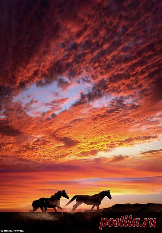 Run into the sunset,  
fivehundredpx от Raissa Scholz Portela   |   Pinterest • Всемирный каталог идей