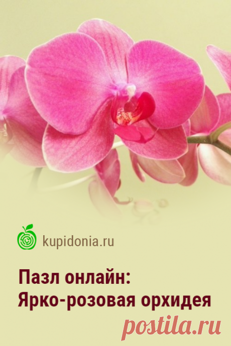Пазл: Ярко-розовая орхидея. Красивый пазл онлайн с яркой орхидеей. Собирайте пазлы на сайте! Это отличная тренировка для мозга.