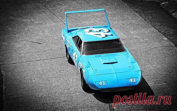 Plymouth Superbird - спортивный автомобиль, выпускавшийся в 1970 году компанией Plymouth. По сути, являлся высокомодифицированной "смеси" Plymouth Road Runner и Dodge Charger Daytona. Superbird разрабатывался для гонок серии NASCAR, а если быть точнее, заменить 1969 Dodge Charger Daytona. Одним из основных мотивирующих факторов создания такого автомобиля было "заманить" отличного пилота Ричарда Петти  обратно в Plymouth, который станет на Superbird неоднократным победителем в