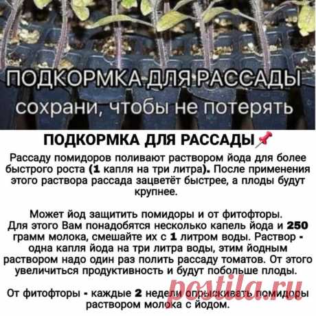 Советы огородникам