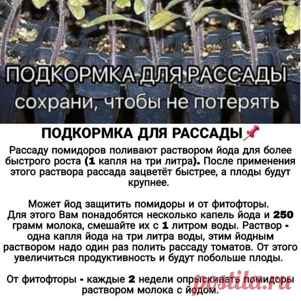 Советы огородникам