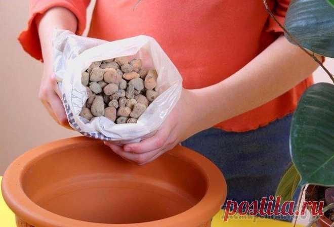 Дренаж для комнатных растений Для удаления из грунта излишков воды при посадке комнатных растений используют дренаж. Делается это для того, чтобы корневая система могла дышать. Дренирование необходимо большинству комнатных культур...