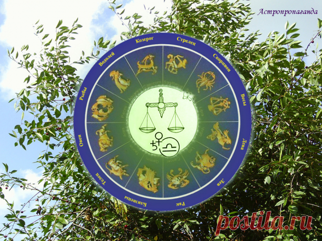Гороскоп для Весов с 3 по 31 июля 2023 ♎ ✨ Автор: астролог Нина Стрелкова. ✧ В знаке Весов в июле нет планет, Венера, управитель его, негармонична. Она находится во Льве в соединении с Марсом и Чёрной луной. Сначала, в первой половине июля, Венера конфликтует с Ураном. Это часто означает неожиданный разрыв отношений, ссору или разлуку. Или просто душевную дисгармонию и проблему выбора. А с 23 июля 2023 Венера становится ретроградной, и включаются кармические ситуации, возвращающие к прошлому...