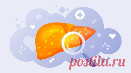 Journal of Hepatology: диета и спорт уменьшают воздействие алкоголя на печень.