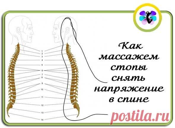 Как массажем стопы снять напряжение в спине